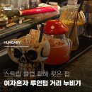 자댕 | 부다페스트 루인펍 뜻 추천 자댕 칵테일바 여자혼자 치안 혼술 후기