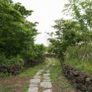 서광서리 이미지