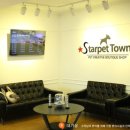 스타켄넬 이미지