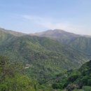 견불동산장 이미지