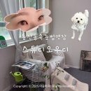 [대전속눈썹연장] 둔산동 속눈썹펌 속눈썹연장 깔끔하게 잘하는 곳 &lt;스튜디오우디&gt;