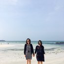 세화해변 네이버블로그