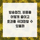 벨라인미디어