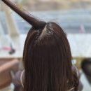 살롱더함
