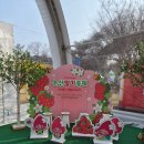 논산시보건소 | 🍓 2026 논산딸기축제