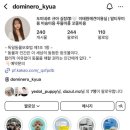 퍼피 앤 포유 이미지