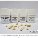 코스모아이씨티