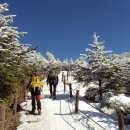 청주 목요산악회 1월 산행일정 이미지