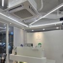 새로 오픈한 마곡 미용실, 그라디헤어 마곡발산점 레이어드컷 후기