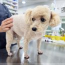 인천종합동물병원 이미지