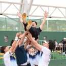 중앙공원 소프트테니스장 이미지