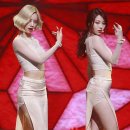 유라플레이스 이미지