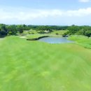 오차드식당 이미지