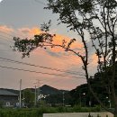 용암식당 이미지