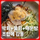 보성 율포해수욕장 맛집 갯마을횟집 솔직후기 (막회·물회 강추!)