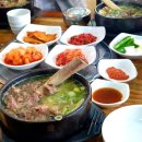 정지칸