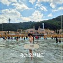 워시월드 | 오션월드 셔틀부터 추천어트랙션까지 내돈내산 솔직후기