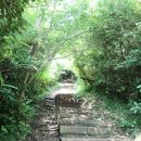 제주 올레길 12코스 이미지