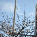 바다 어울림 이미지