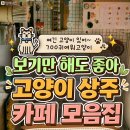 고양이 상주 카페 이미지