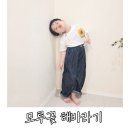 샤이닝포인트 한송이 모루꽃 해바라기꽃 기념일 특별한 감성 선물 후기