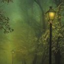 유니온메디케어 이미지