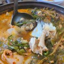 대추나무골마을 이미지