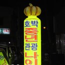 호박 관광나이트 이미지