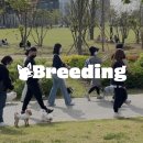 펫푸드교실 이미지