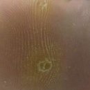 손피부과의원 이미지