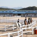 함안 승마장 이미지