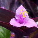 동탄 여울공원 농구장 이미지