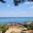 영덕숙소｜ 영덕바닷가솔밭펜션 바닷가 앞 위치 핵심 정보 살펴보기