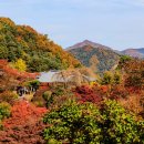 단풍스테이