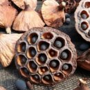 연실농장 이미지