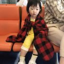24개월 두돌 아기랑 다녀온 괌 힐튼 타시 4박5일 여행