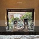 성산 동백소랑 | 제주도 성산 펜션 아이랑 가기 좋은 독채 자쿠지 동백소랑 동백채