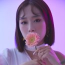 레드노래방