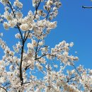 굿거리공원 이미지