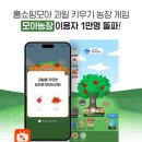 모아모아