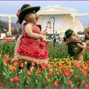 포시즌 봄 이미지