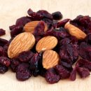 닥터파파동물병원 이미지