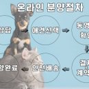 이쁘개 건강하개 이미지
