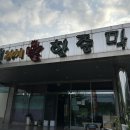 송진불한증막 | 힐링