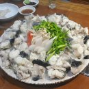 [100년 단골 시리즈] 경북 맛집 BEST 5