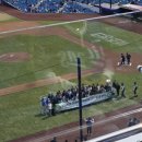 삼성파크 | 삼성 라이온즈파크 | 시범경기 및 먹거리 솔직 후기