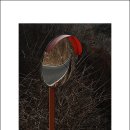 장선마을 이미지