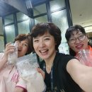 엑스트라바겐자