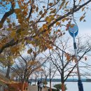 레이크410 이미지