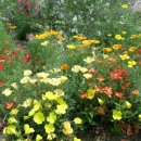 동두천역 이미지